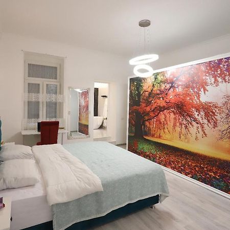 Central Luxury Apartments オラデア エクステリア 写真